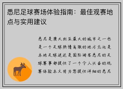 悉尼足球赛场体验指南：最佳观赛地点与实用建议