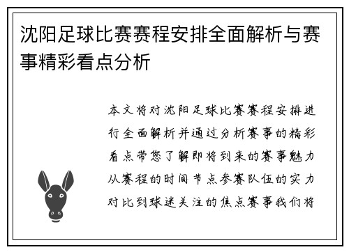 沈阳足球比赛赛程安排全面解析与赛事精彩看点分析