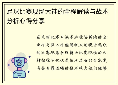足球比赛现场大神的全程解读与战术分析心得分享