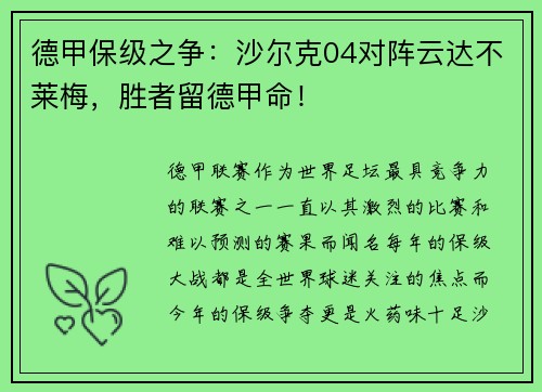 德甲保级之争：沙尔克04对阵云达不莱梅，胜者留德甲命！