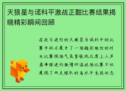 天狼星与诺科平激战正酣比赛结果揭晓精彩瞬间回顾