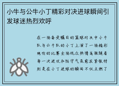 小牛与公牛小丁精彩对决进球瞬间引发球迷热烈欢呼