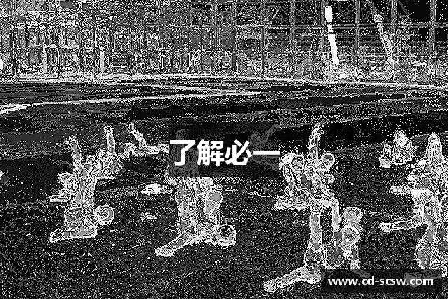 了解必一